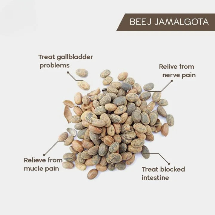 Jamalgota™ - Ayurvedic Hair Growth Powder 🌱✨ (Buy 1 Get 1 Free🔥) (200GM🔥)