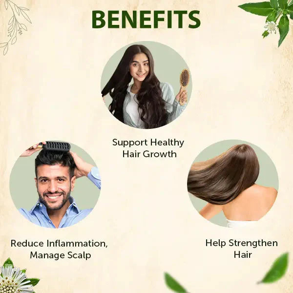 Jamalgota™ - Ayurvedic Hair Growth Powder 🌱✨ (Buy 1 Get 1 Free🔥) (200GM🔥)