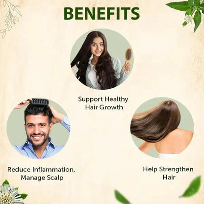 Jamalgota™ - Ayurvedic Hair Growth Powder 🌱✨ (Buy 1 Get 1 Free🔥) (200GM🔥)